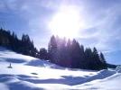 Winterimpressionen2.webp